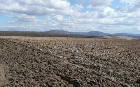 Drágult a termőföld: még mindig Nógrádban a legolcsóbb