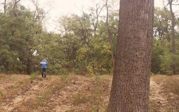 Dornyay-érmek a Bakonyból