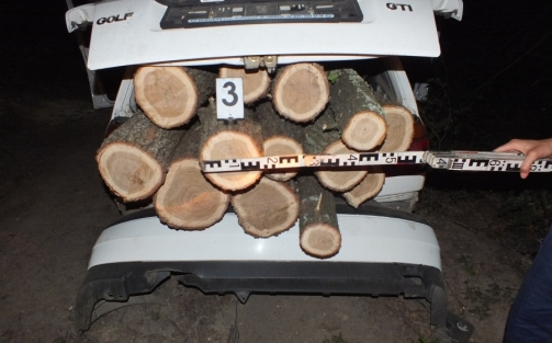 Személygépkocsival lopták a fát