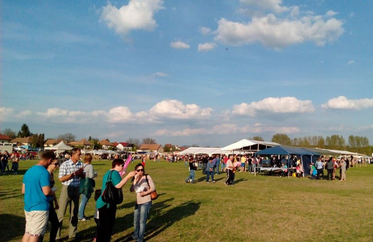 Böllér Bajnokok Ligája