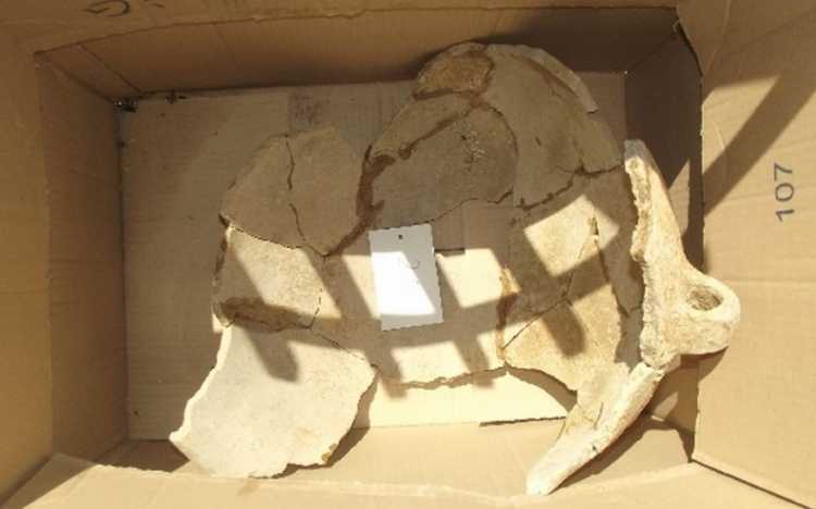 Régészeti leleteket tulajdonított el