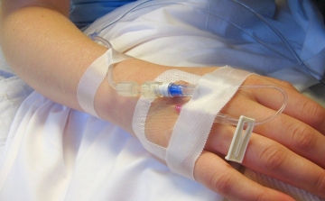 Eddig 41 ember betegedett meg feltehetően leptospirózisban Jász-Nagykun-Szolnok megyében