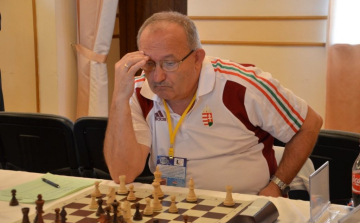 Frink Ferenc - A Palóc varázsló.