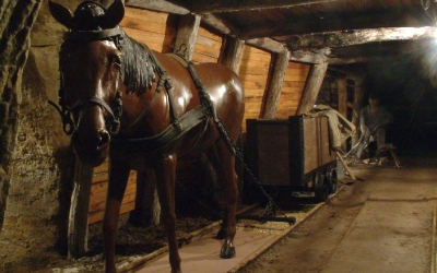 Nagy volt az érdeklődés a Múzeumok Éjszakáján