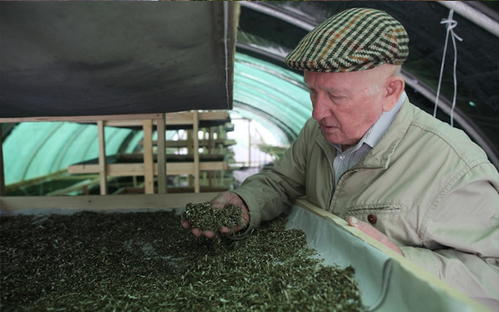 Balassagyarmatra látogat a bükki füvesember