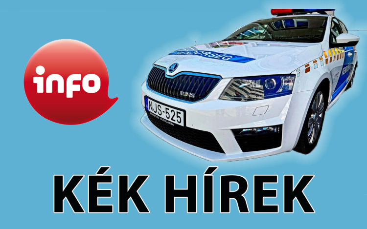 Több mint 170 kilogramm drogot foglalt le a rendőrség egy nemzetközi akció során