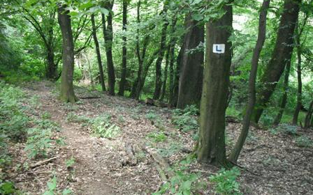 Új tanösvények Nógrád megyében