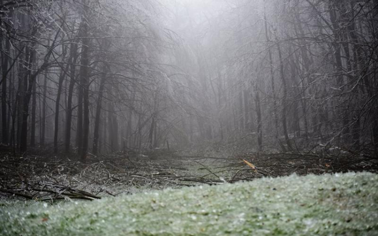 Korlátozott erdőlátogatás a Börzsönyben