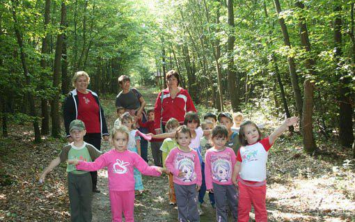 Az eltűnt erdők nyomában