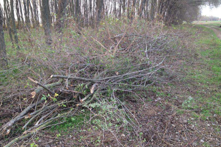 Falopás Galgagután