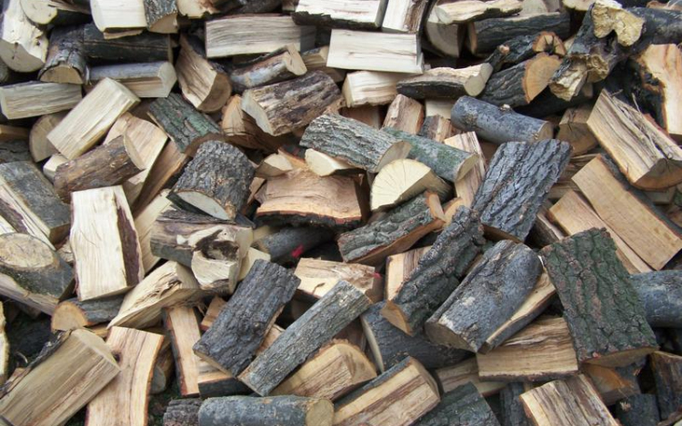 Az erdő szélén hasogatták a lopott akácfát 