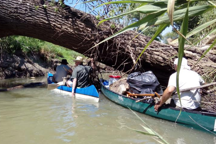 Szemétszedési akció az Ipolyon