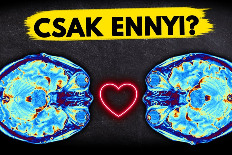 A szerelem NEM az, aminek hiszed