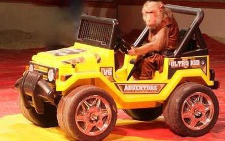 Száz gyermek mosolya az Exit Cirkuszban