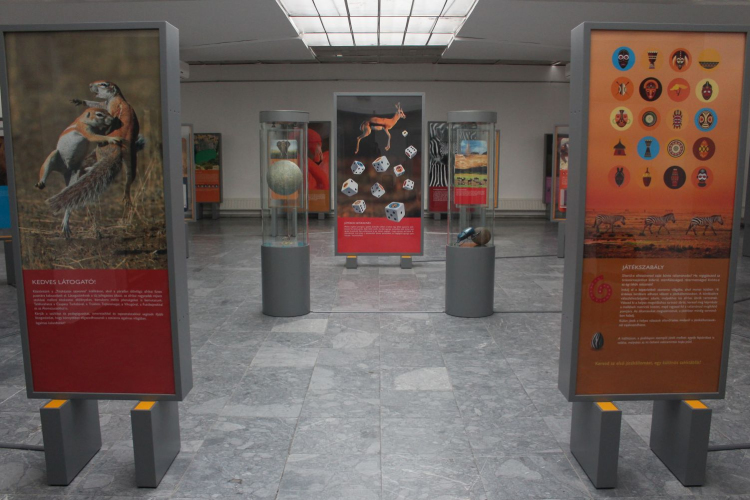  Titokzatos szavanna a Dornyay Béla Múzeumban