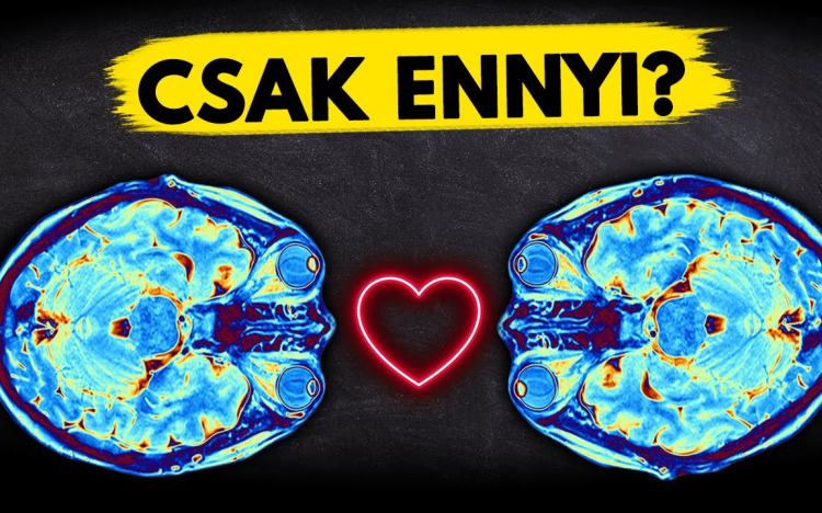 A szerelem NEM az, aminek hiszed