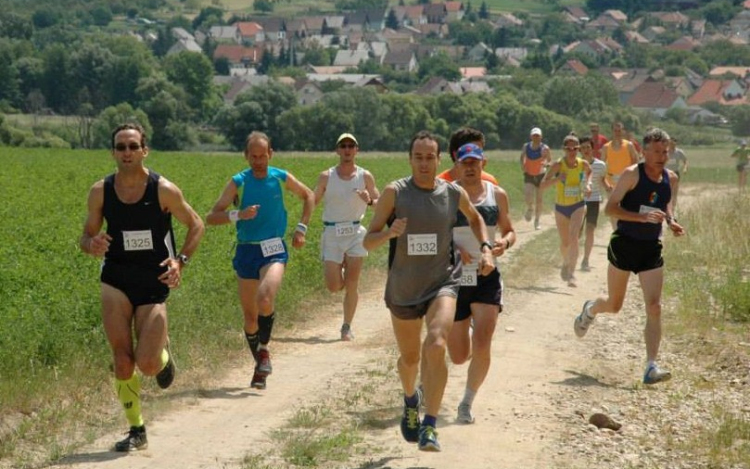 Újra a nógrádi vár volt a célpont