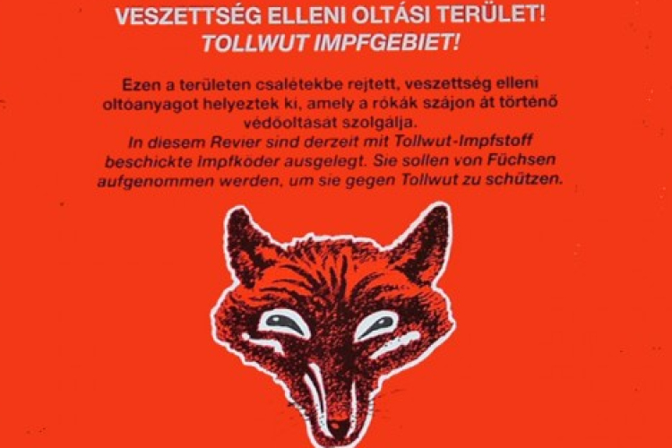 Ebzárlat és legeltetési tilalom van érvényben