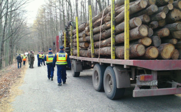 Fokozott ellenőrzést tartottak - videóval