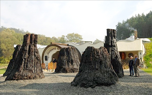 Márciusi ébredés az ősmaradványoknál