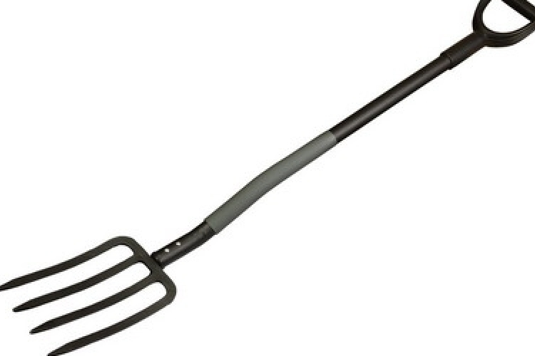 Zaklatta élettársát