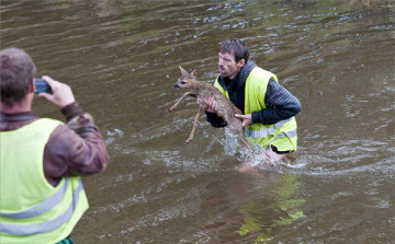 Önkénteseket vár megyénkben is a katasztrófacédelem