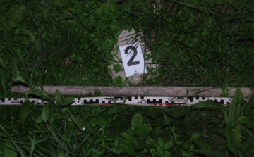 Csetepaté az italboltban