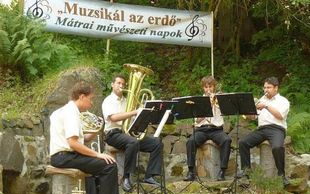 Erdő és zene összefonódása a fenntarthatóságért