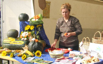 Készülnek a helyi értéktárak