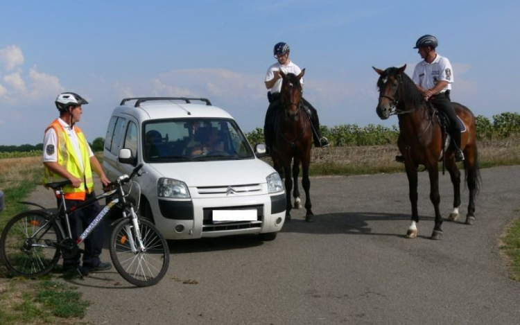 A Készenléti Rendőrség lovas és kutyás járőrei Nógrádban