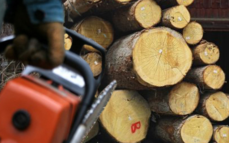 Elfogyott a tüzelő, elfogyott a pénz is