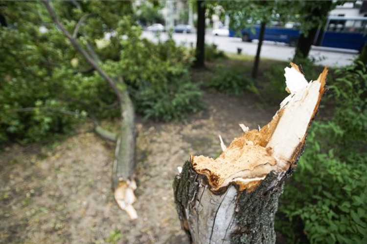 Vihar - Mabisz: a kárenyhítés a legfontosabb