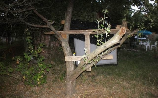 Lest épített kertjében az orvvadász