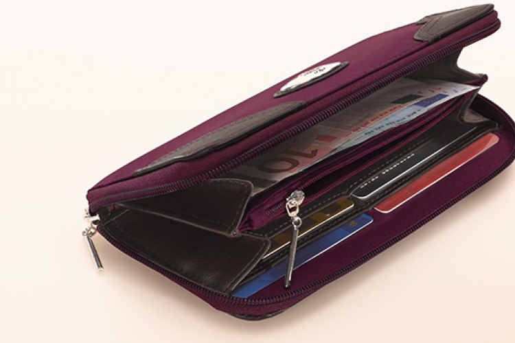 Pénztárcát lopott