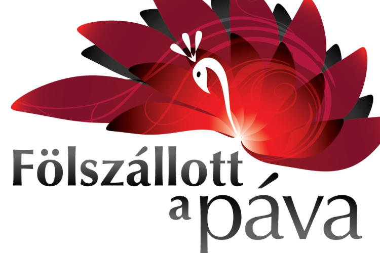 Bátonyterenyei siker a Fölszállott a páva műsorában