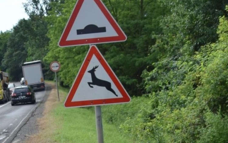 Ügyeljünk a vadveszélyre!