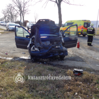 Bajba jutott malac, közlekedési baleset és szabadtéri tüzek csütörtökön