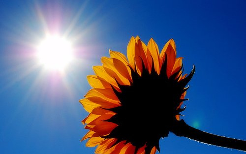 Tavaszias lesz a hétvége 