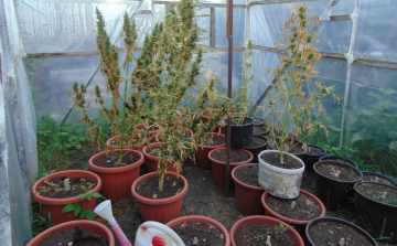 Kábítószer birtoklása Nógrádban - videó