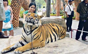Radics Giginek kötelező a smink
