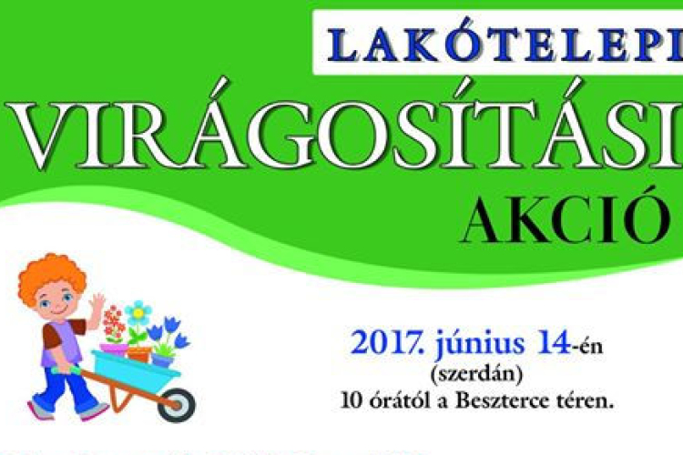 Virágosítási akció a Beszterce lakótelepen