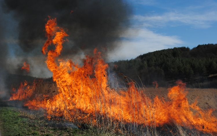 Előzzük meg a szabadtéri tüzeket!
