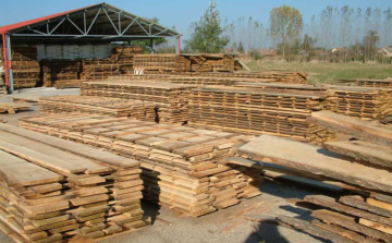 Elfogták a fűrészüzem betörőit