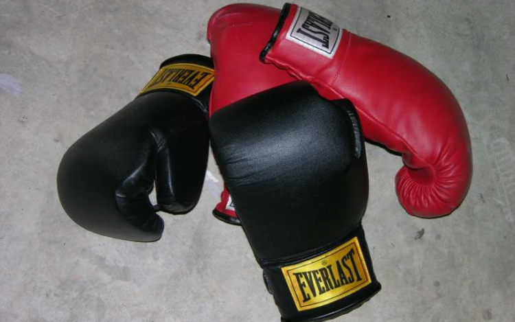 Tarjáni ökölvívók sikerei