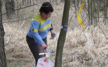 Tájékozódási futóverseny Salgótarjánban