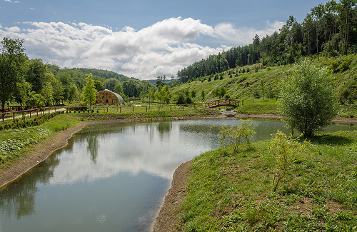 Madármegfigyelés és miocénerdő-túra az ipolytarnóci ősmaradványok területén