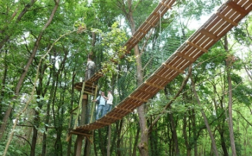 Nyílt Nap Ipolytarnócon