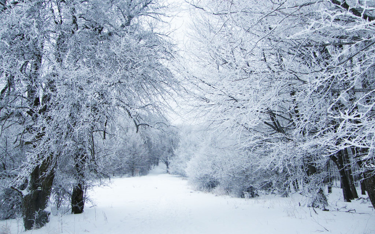 A Mátrában eltévedt házaspárt mentettek a bátonyterenyei rendőrök