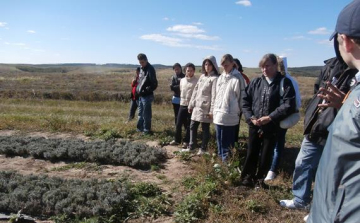 Sikerrel zárult a gyógynövénytermesztő-képzés Ipolytarnócon