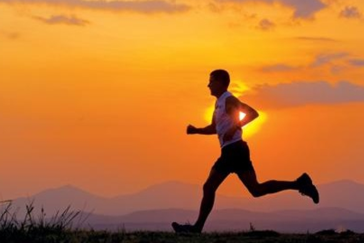 Nemzetközi tájfutó versenyt rendeznek Salgótarjánban